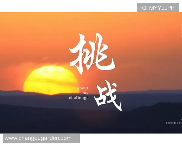 深度对话杨敏探索和平精英背后的成长与挑战人生旅程