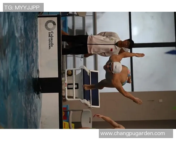 自由泳健身训练攻略提高耐力与技巧打造完美体型的科学方法