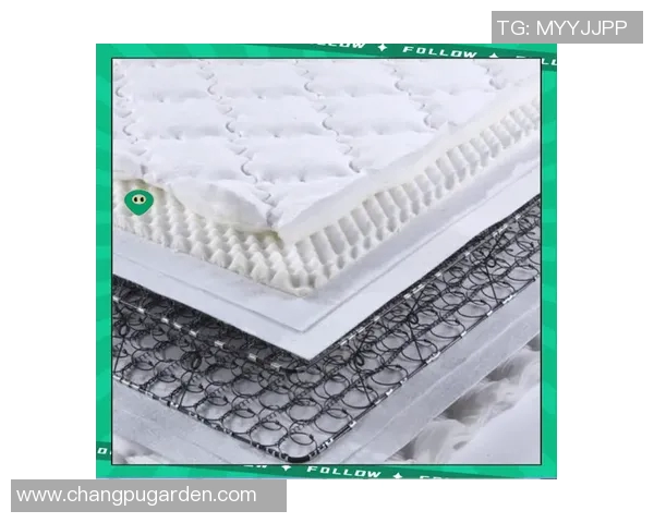 选购床垫的关键因素与常见误区解析，助你选对舒适健康床垫