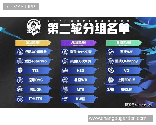 EDG战队个人能力分析及其在王者荣耀中的影响探讨